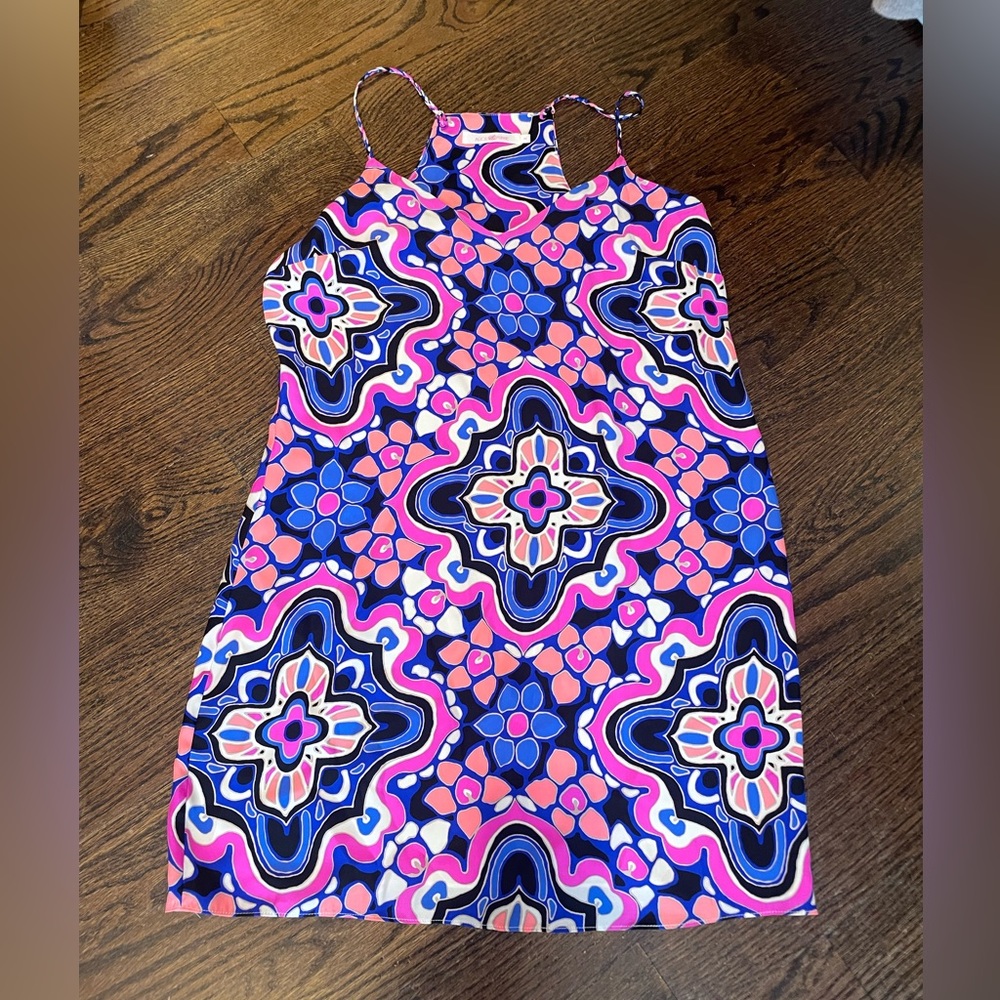 Alice and Trickett dress- worn once